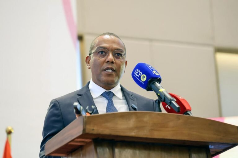 Angola e RDC reforçam cooperação para acelerar fluxos financeiros e comércio formal