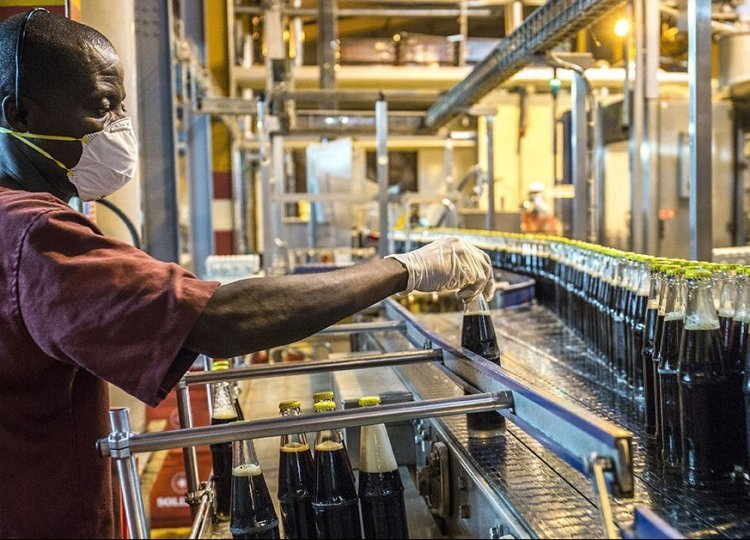 Indústria de bebidas em Angola cresce com investimento de 559 mil milhões Kz e capacidade excedentária estratégica